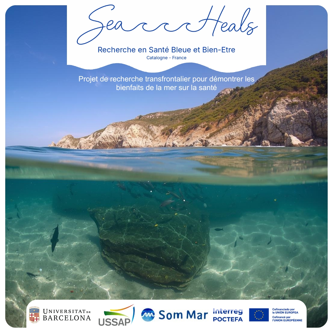 SeaHeals: USSAP en el centro de un proyecto europeo innovador sobre salud azul